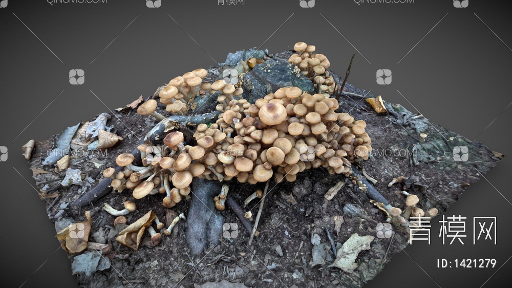 蘑菇群3D模型下载【ID:1421279】