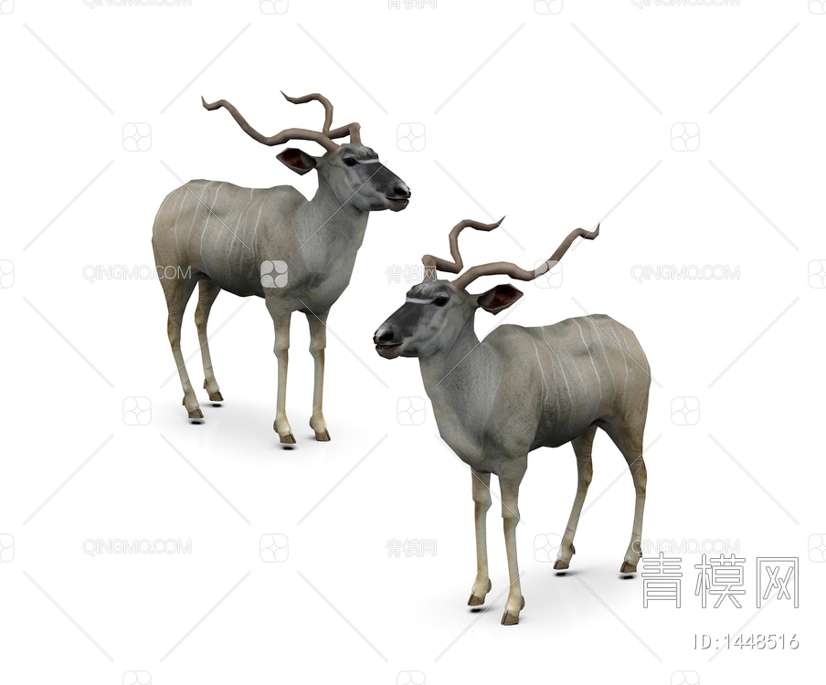 动物 捻角羊3D模型下载【ID:1448516】