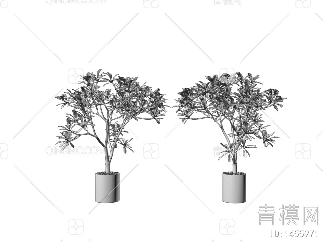 植物盆栽 观赏盆景3D模型下载【ID:1455971】