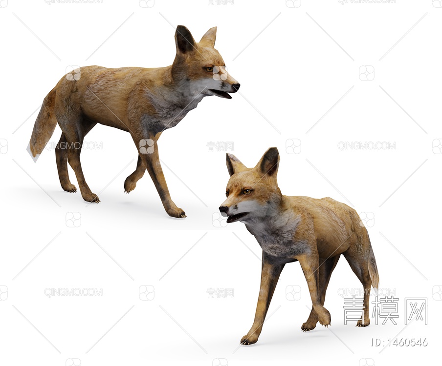 陆地动物 狐狸3D模型下载【ID:1460546】