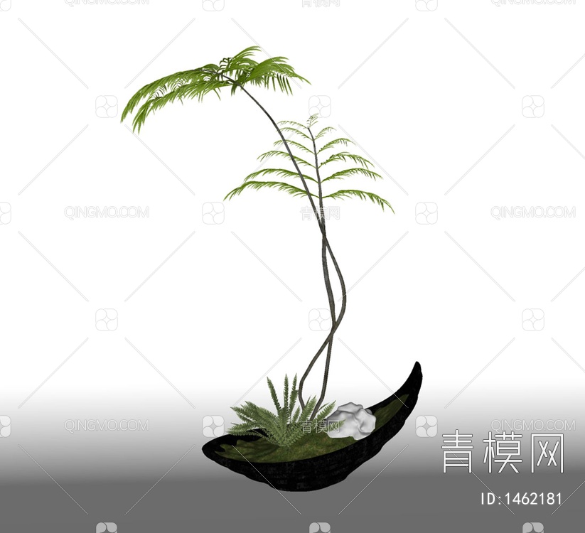 蕨类植物小盆栽 盆景SU模型下载【ID:1462181】