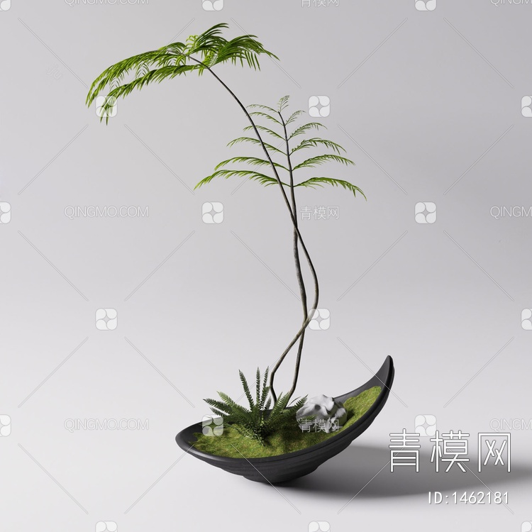 蕨类植物小盆栽 盆景SU模型下载【ID:1462181】