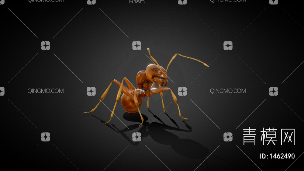 蚂蚁3D模型下载【ID:1462490】
