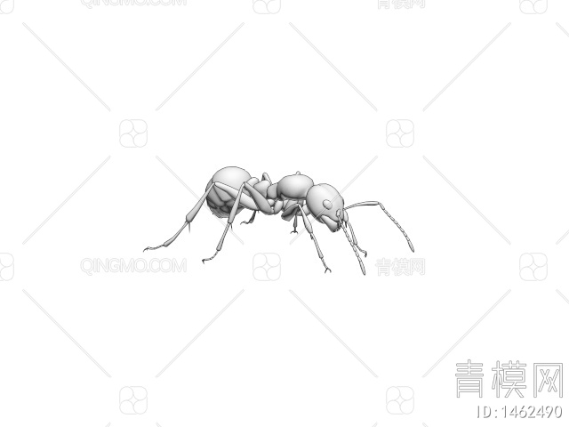 蚂蚁3D模型下载【ID:1462490】