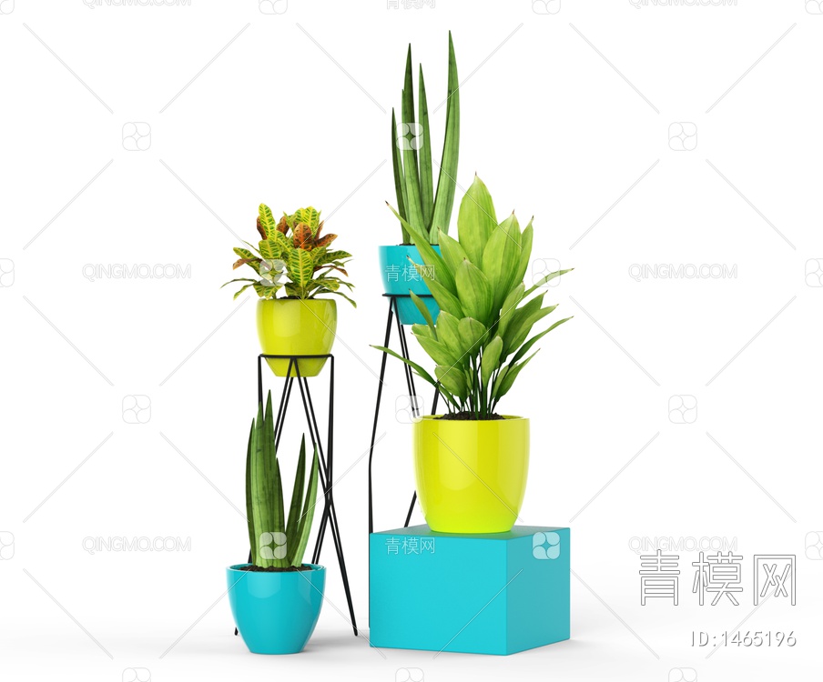 绿色植物 盆栽3D模型下载【ID:1465196】
