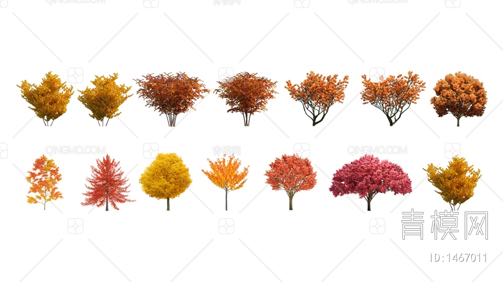 色叶植物景观树乌桕红枫彩色植物SU模型下载【ID:1467011】