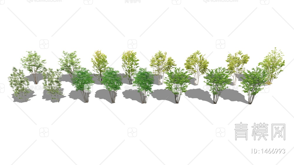 景观树乔木灌木植物行道树SU模型下载【ID:1466993】