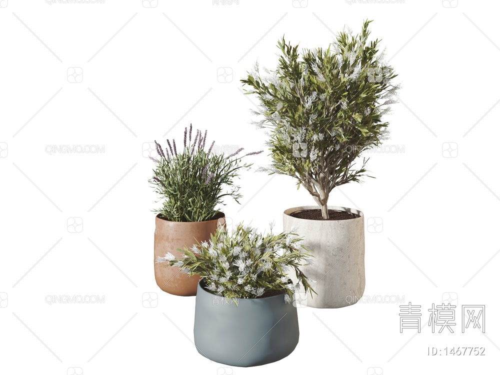 盆栽 植物3D模型下载【ID:1467752】