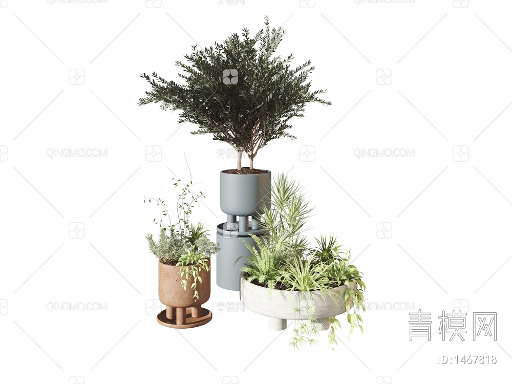 植物盆栽3D模型下载【ID:1467818】