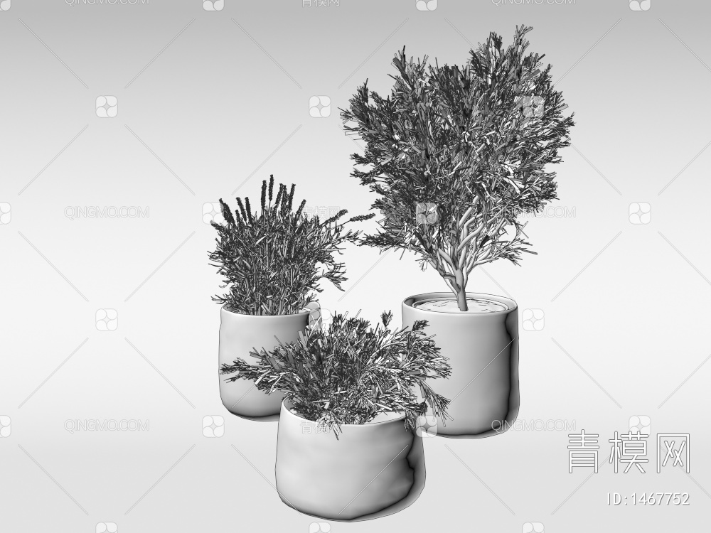 盆栽 植物3D模型下载【ID:1467752】
