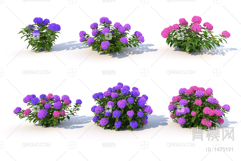 灌木植物，粉红色绣球花，园林庭院绿植景观3D模型下载【ID:1470191】