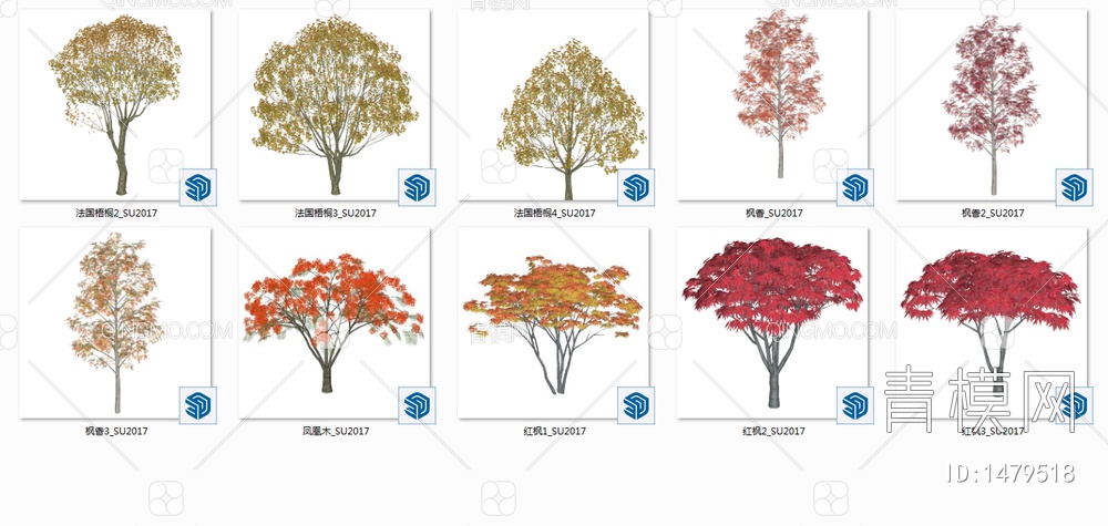 乔木SU模型下载【ID:1479518】