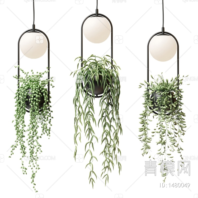 植物吊灯3D模型下载【ID:1480049】
