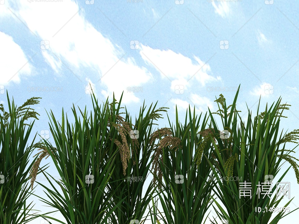 水稻3D模型下载【ID:1488995】