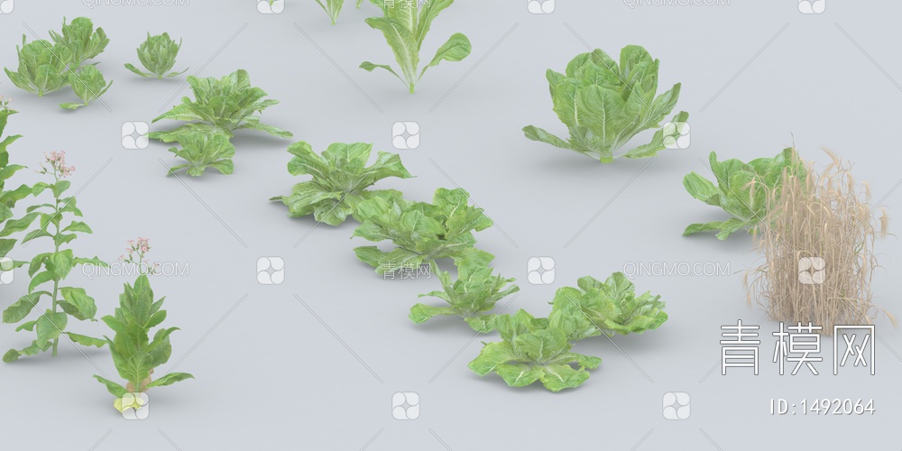 精品蔬菜3D模型下载【ID:1492064】
