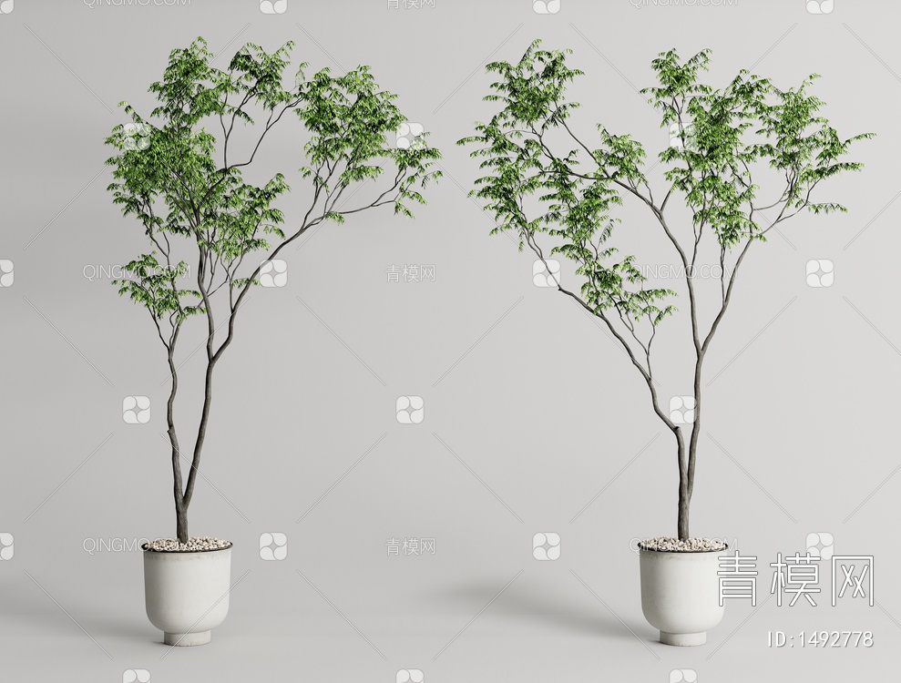 植物盆栽 绿植盆景3D模型下载【ID:1492778】