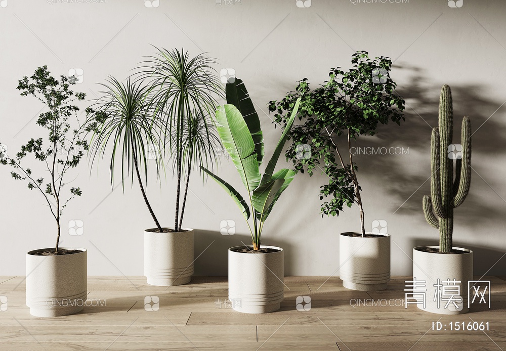 植物盆栽3D模型下载【ID:1516061】