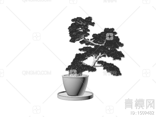 松树盆栽 罗汉松盆景 景观松树3D模型下载【ID:1509482】