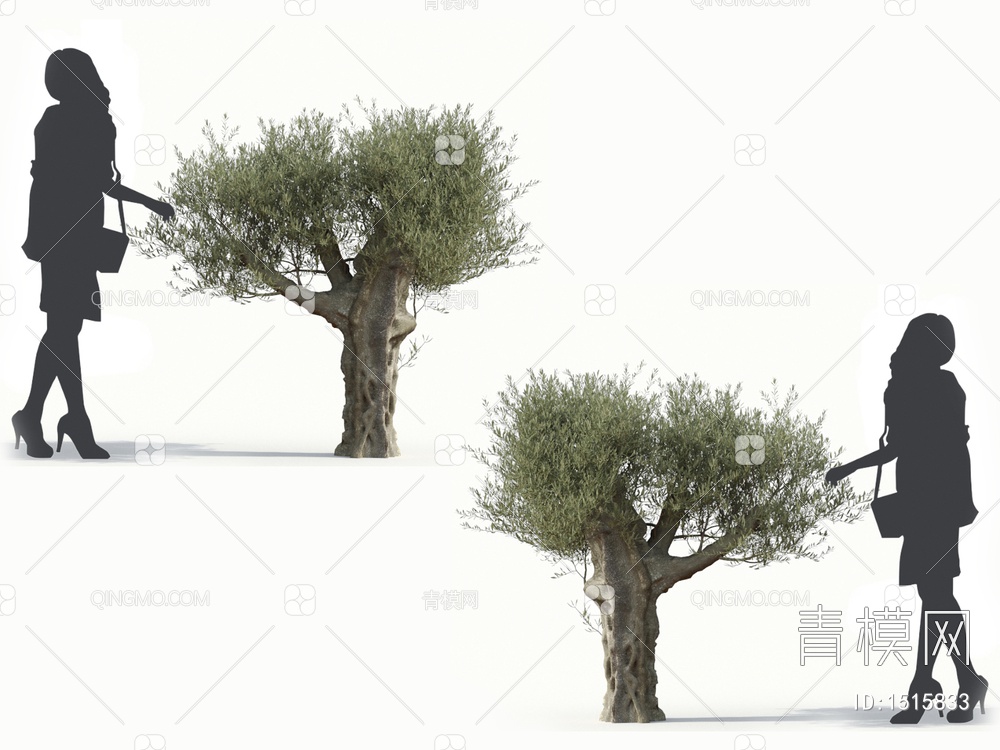 乔木 橄榄树 油橄榄3D模型下载【ID:1515833】