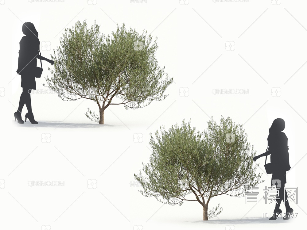 乔木 橄榄树 油橄榄3D模型下载【ID:1515797】