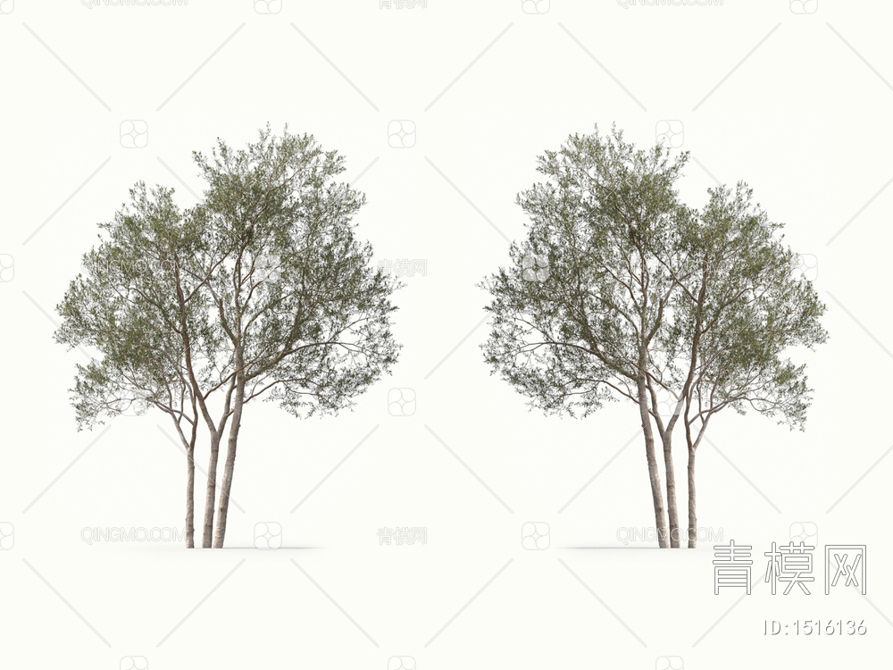 橄榄树 油橄榄 树3D模型下载【ID:1516136】