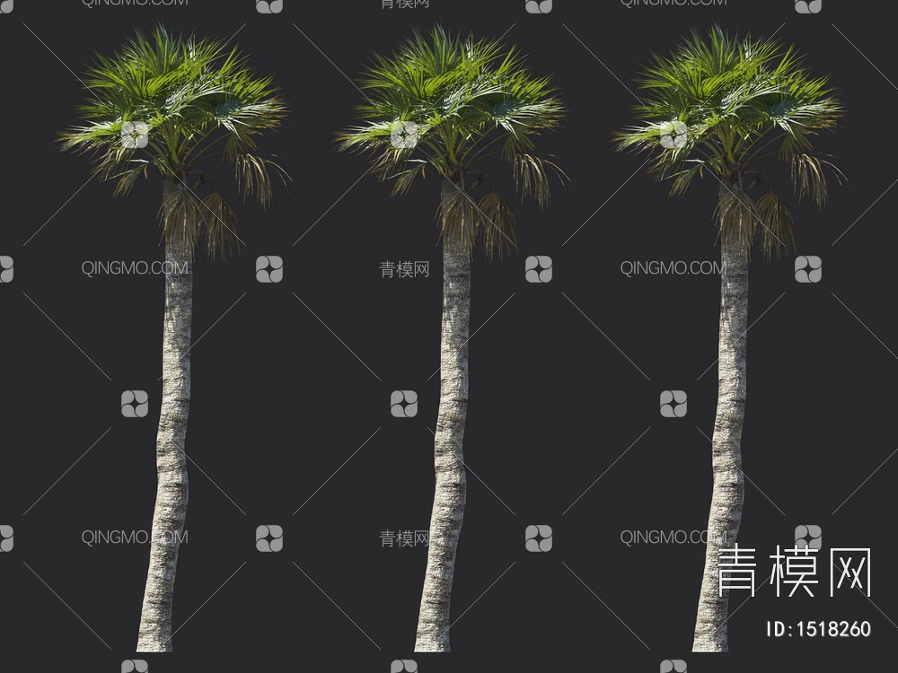 棕榈树 热带树3D模型下载【ID:1518260】