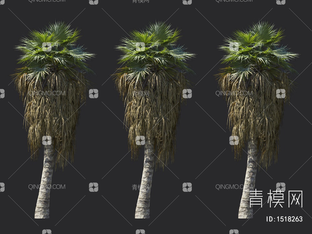 棕榈树 热带树3D模型下载【ID:1518263】