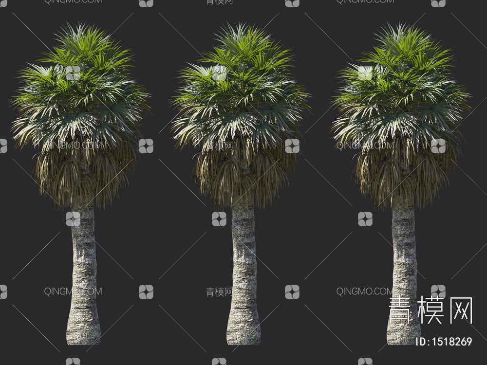棕榈树 热带树3D模型下载【ID:1518269】