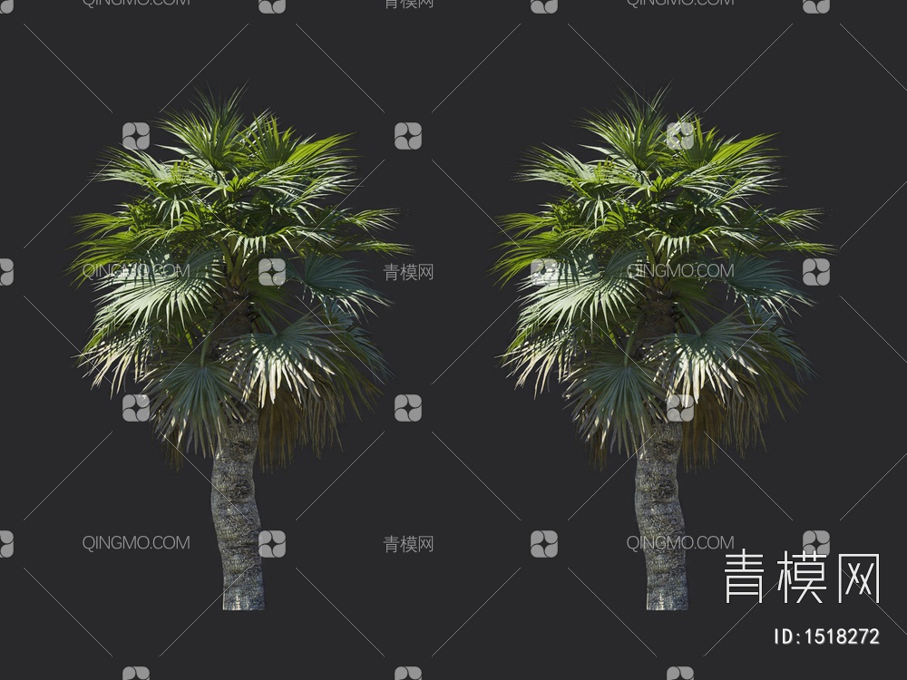 棕榈树 热带树3D模型下载【ID:1518272】
