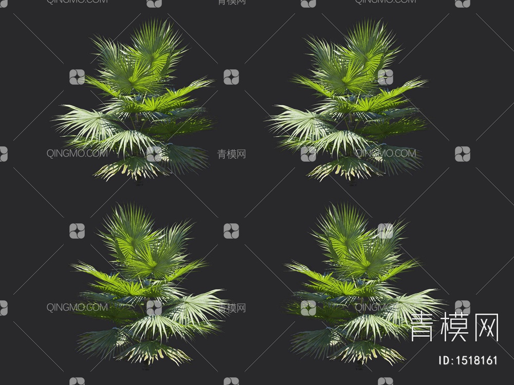 棕榈树，热带树3D模型下载【ID:1518161】