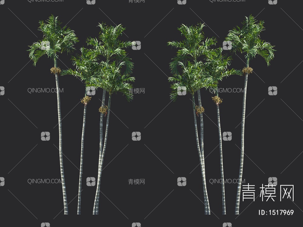 棕榈树，热带树3D模型下载【ID:1517969】