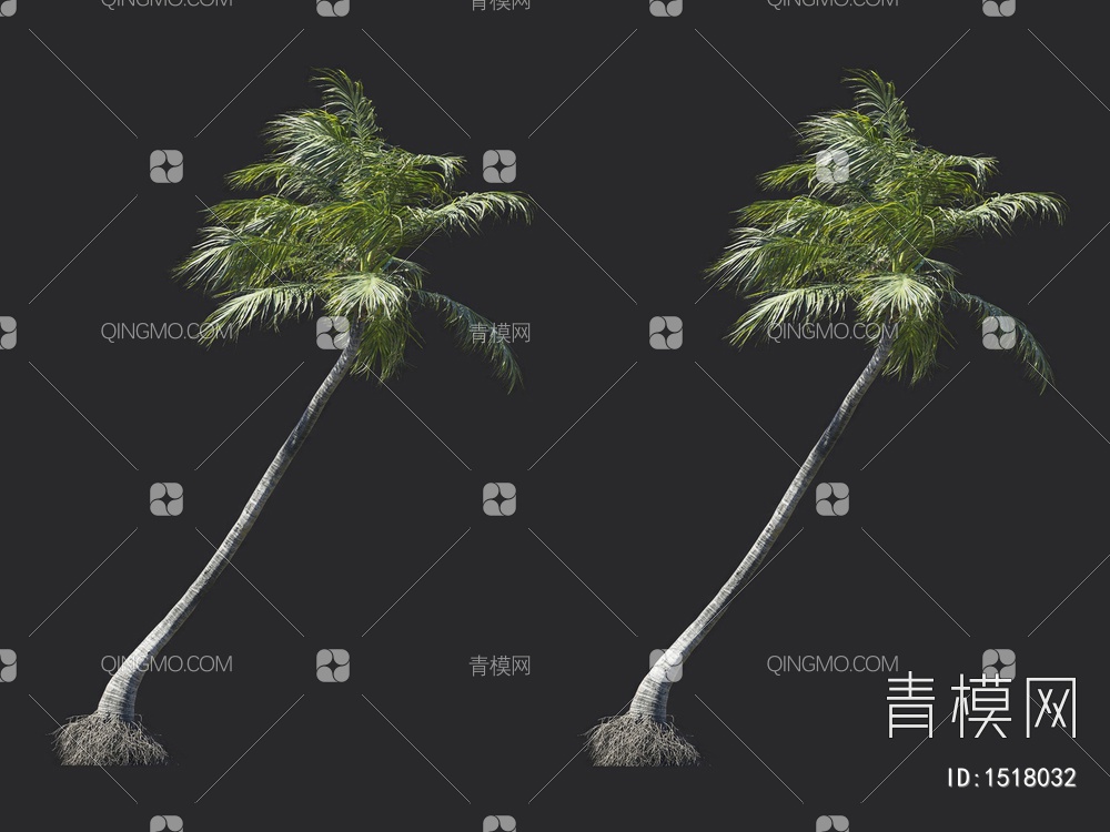 椰子树 热带树 棕榈树3D模型下载【ID:1518032】