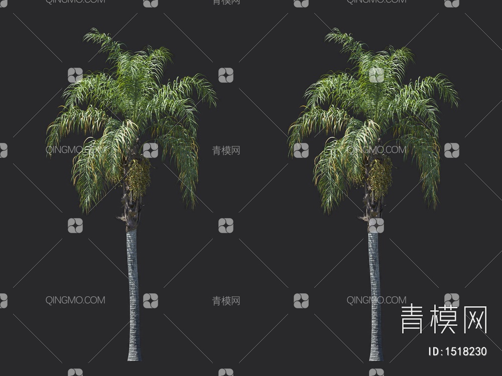 棕榈树 热带树3D模型下载【ID:1518230】