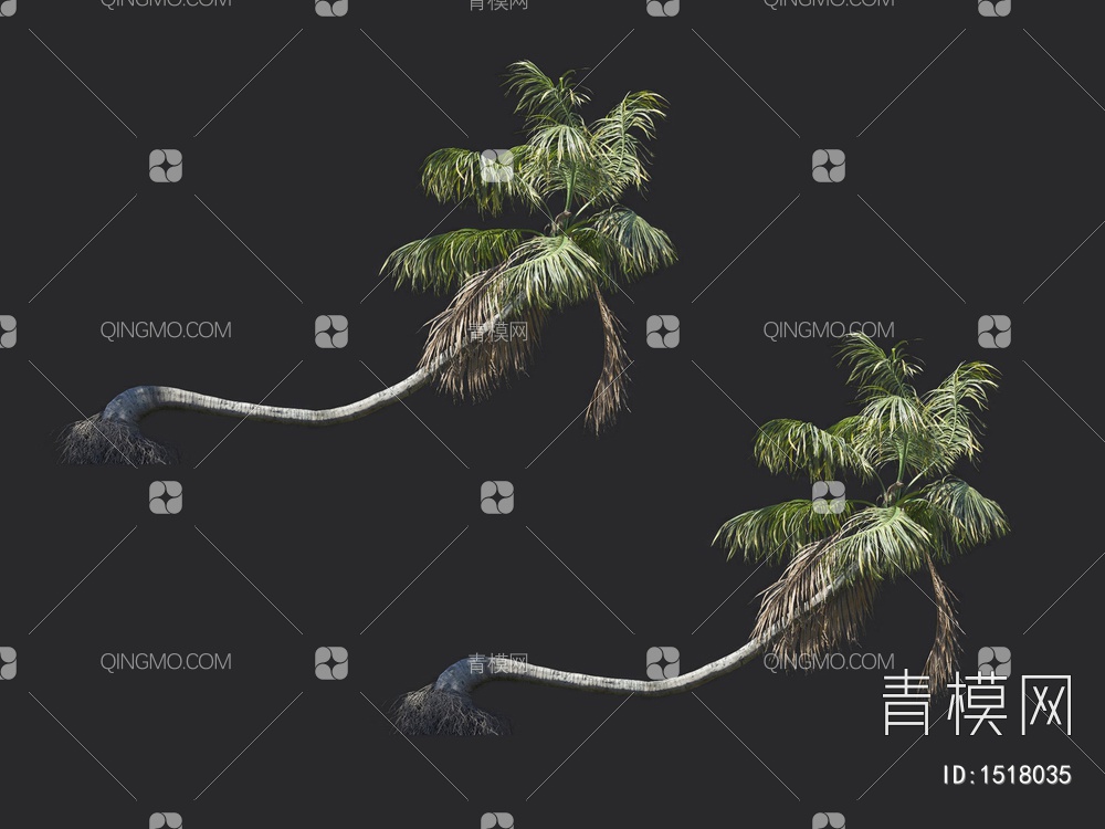 椰子树 热带树 棕榈树3D模型下载【ID:1518035】