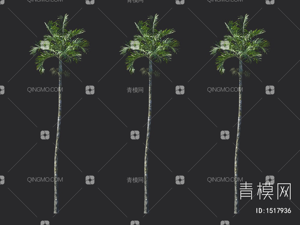 棕榈树，热带树3D模型下载【ID:1517936】