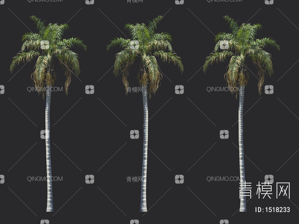 棕榈树 热带树3D模型下载【ID:1518233】