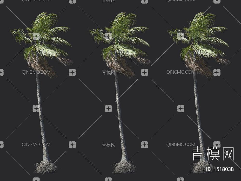 椰子树 热带树 棕榈树3D模型下载【ID:1518038】