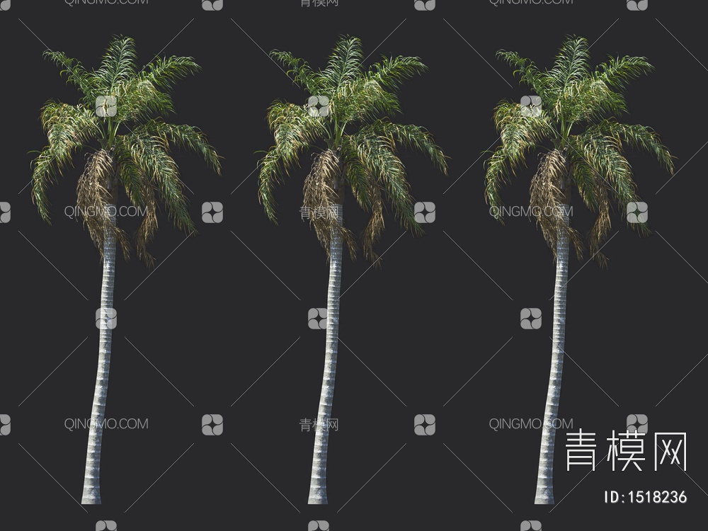 棕榈树 热带树3D模型下载【ID:1518236】