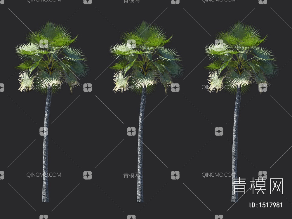 椰子树 热带树 棕榈树3D模型下载【ID:1517981】