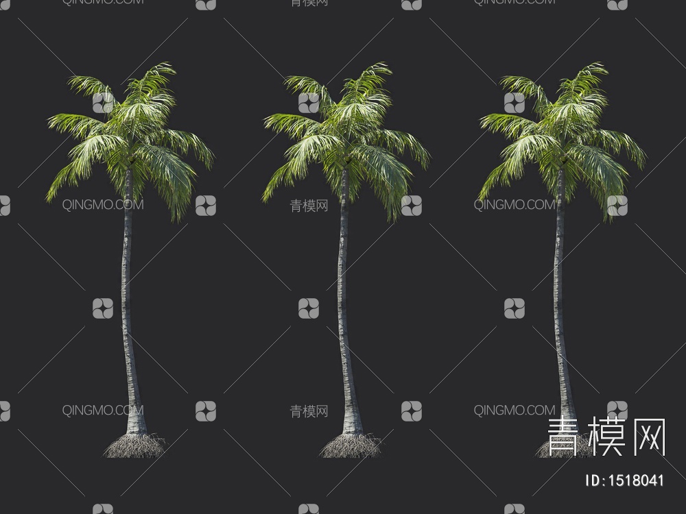 椰子树 热带树 棕榈树3D模型下载【ID:1518041】