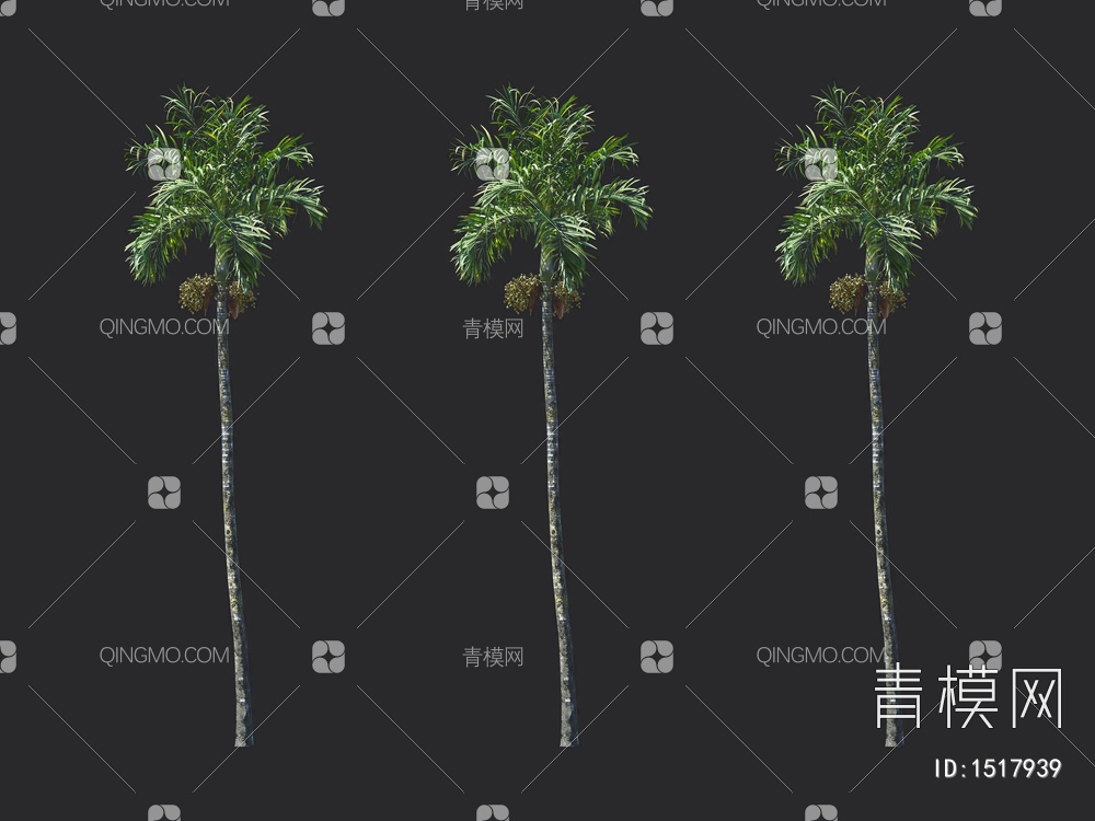 棕榈树，热带树3D模型下载【ID:1517939】