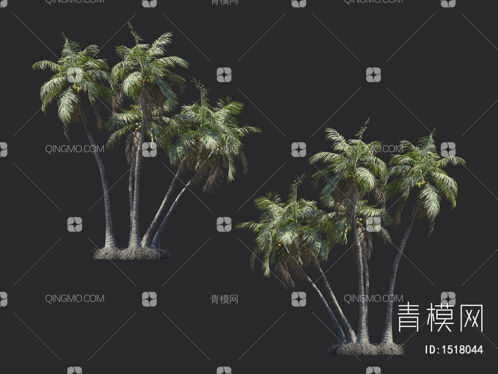 椰子树 热带树 棕榈树3D模型下载【ID:1518044】