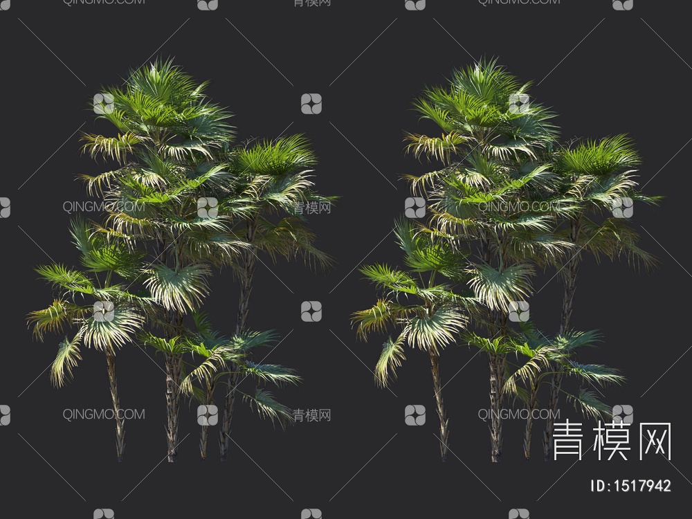 棕榈树，热带树3D模型下载【ID:1517942】