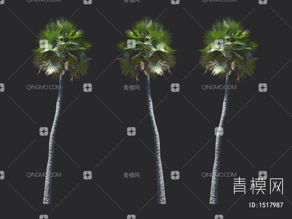 椰子树 热带树 棕榈树3D模型下载【ID:1517987】