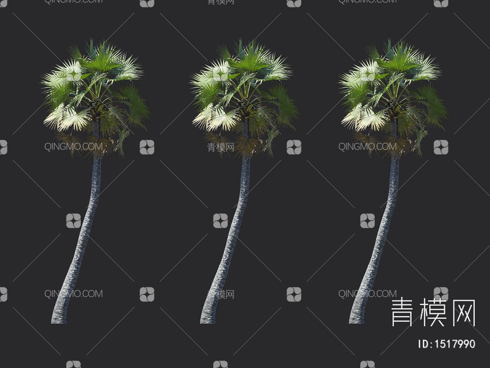 椰子树 热带树 棕榈树3D模型下载【ID:1517990】