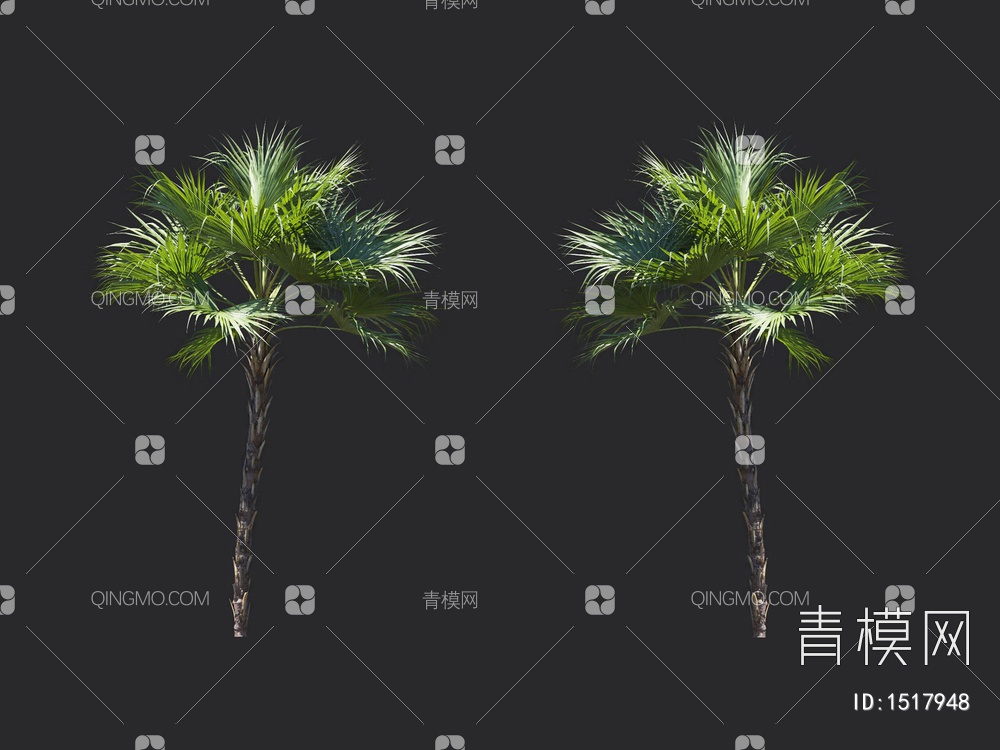 棕榈树，热带树3D模型下载【ID:1517948】