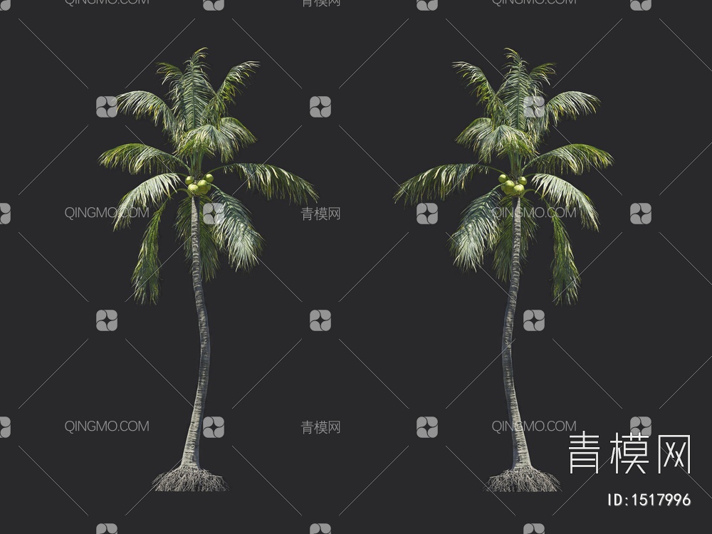 椰子树 热带树 棕榈树3D模型下载【ID:1517996】