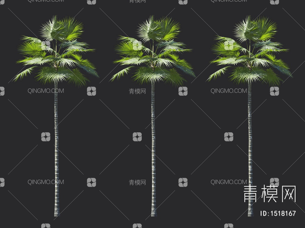 棕榈树，热带树3D模型下载【ID:1518167】