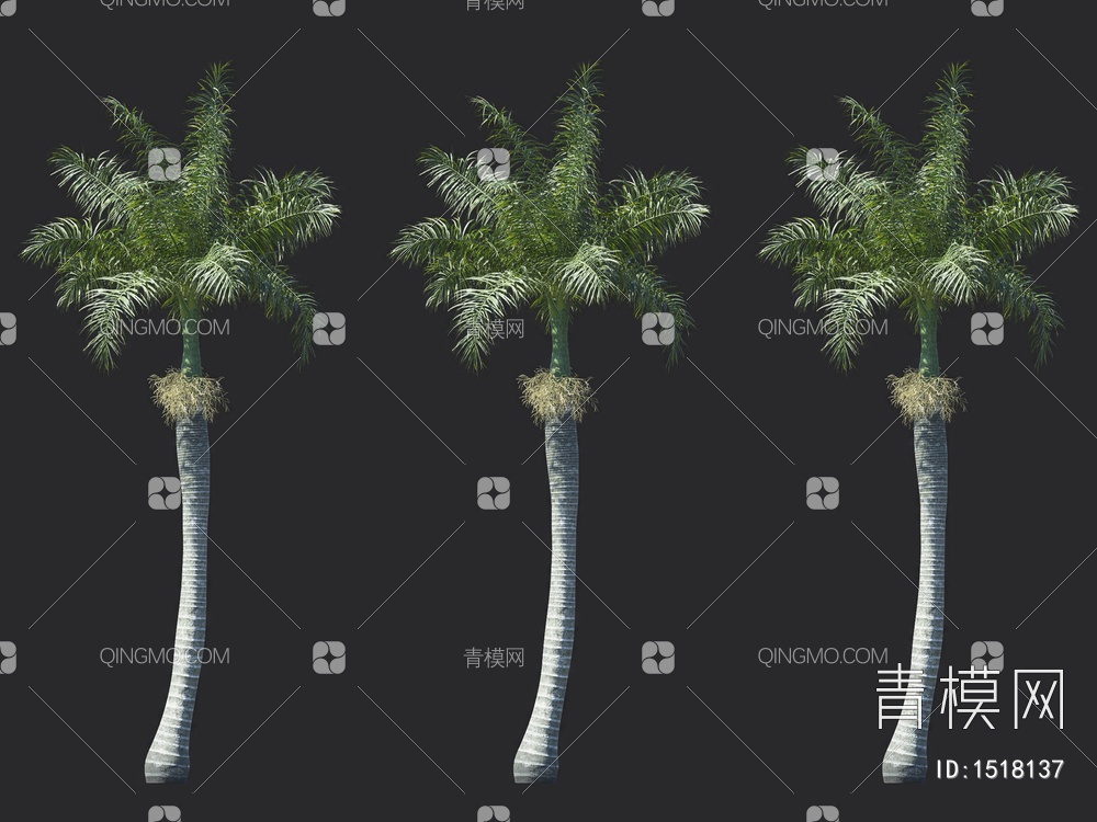 椰子树 热带树 棕榈树3D模型下载【ID:1518137】
