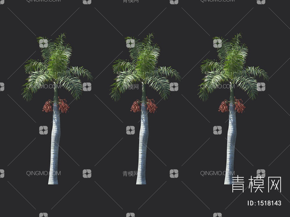 椰子树 热带树 棕榈树3D模型下载【ID:1518143】